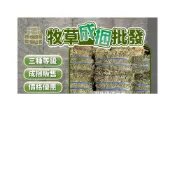 (店+)頂級優質牧草 提摩西牧草 提摩西二番割 甜燕麥 苜蓿草 小寵牧草 小動物牧草 鼠兔牧草 提摩西草