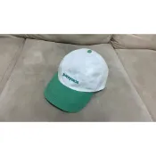 Patagonia 棒球帽 老帽 正品 購於日本原宿店