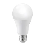 【亮博士】1入 25W LED燈泡 節能燈泡 穩壓燈泡(高光效 無藍光 超省電)
