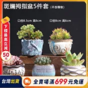 『巷仔口雜貨舖』❤【多肉花盆專用】 多肉盆 粗陶盆 陶瓷罐 大口徑 家用 小微瑕盆 套裝 多肉花盆 花盆 陶盆
