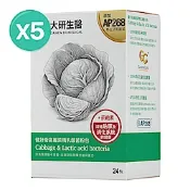 【大研生醫】健好衛高麗菜精乳酸菌粉包(24包)x5盒