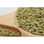 【澎玉191】毛綠豆 600克
