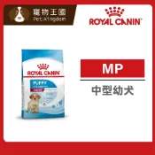 (店+)【ROYAL 法國皇家】MP 中型幼犬專用飼料 4KG / 10KG / 15KG｜狗乾糧 狗飼料 幼犬飼料 AM32 皇家狗飼料