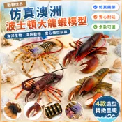 🌈「動物世界」仿真實心澳州波士頓大龍蝦海洋生物海底動物模型玩具 4款