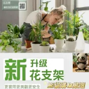 (店+)熊貓購物 新一代卡扣式植物支架 蝴蝶蘭 觀音蓮 龜背芋 彩葉芋 蘭花 植物 盆栽 植物支架 支撐架