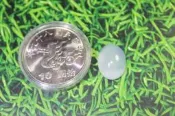 13海洗白玉髓研磨，玻璃質地，(蛋面)漂亮成品.美石! (東海岸玉石.花東玉石.本土玉石)  總重約 7.5 克拉   