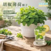 胡椒薄荷種子--食用香草、調酒薄荷、飲料薄荷、陽台盆栽、新手好種、香草植物【四季綠園】