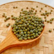 【陳家糧舍】綠豆 600克 毛綠豆 台灣綠豆
