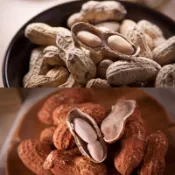 【惠香】蒜味/鹹酥/紅殼落花生 花生 帶殼花生 泡茶必備 茶點 蒜味花生
