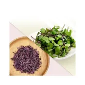(店+)【蔬菜之家】紫高麗菜芽種子 300克500公克1公斤 芽菜種子 紫高麗菜苗 種子 生機飲食 帶有淡淡的甘