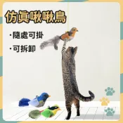 【告白汪喵】小鳥逗貓棒 假鳥逗貓棒 仿真啾啾鳥 仿真鳥 貓咪玩具 牆掛小鳥 貓薄荷 貓咪捕獵玩具 逗貓玩具 獵物玩具