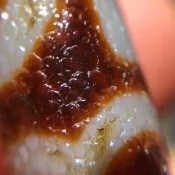 虧本清倉！行運藏傳古法老料包漿風化息增懷珠天珠。 11.8×35.8mm H01