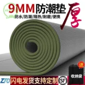🌟限時下殺🌟   野餐墊 300*300 鋁箔墊 鋁膜墊 防潮墊加厚戶外便攜野餐佈防水野餐家用帳篷單人宿舍睡墊地墊墊