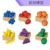 USL 遊思樂 台製教具-認知模型-藍莓水果組 (36pcs) F1007E01