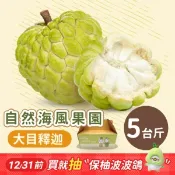 【i郵購】【自然海風果園】115年【臺東大目釋迦禮盒】5台斤裝/盒