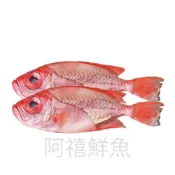 板橋阿禧鮮魚    紅目鰱 2條入 魚全家冷凍 799元免運費 現貨