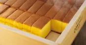舔手指日本小舖 【預購】匠の焼き菓子 CONGALI 文明堂 蜂蜜卡斯蒂拉蛋糕 一口包裝 日本代購 伴手禮盒