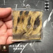 【提迦多佛牌社】 東北秘法 虎皮 符片 權威 防小人 競爭 升職 自信 辟邪 擋災 避險 咬財 事業 泰國 佛牌 符管