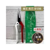 (店+)(台灣製) 獅王長刃芽切剪 A級 芽切鋏 長刃 芽切筴 獅王芽切剪 花藝剪刀 修枝剪 園藝剪 採果剪 花剪 蘆筍剪 剪刀