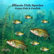 【三民網路書店】Illinois Game Fish and Panfish Species Kids Book: Great Book About the Different Types of Fish in Illinois 作者：Kinsey Marie