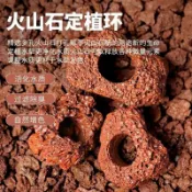 【新莊/五股/青島水族】火山岩 洞穴 孔穴式 多孔可培菌 淨水 硝化 濾材 過濾水族箱魚缸 造景 石頭 底砂 躲藏