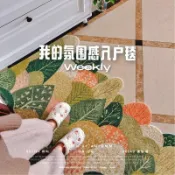 大大織物兔-絲圈家用腳墊入戶門地墊防滑除塵進門玄關大門口可裁剪門墊地毯