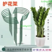 花支柱金錢樹龜背竹天堂鳥植物架防倒伏固定護花架子支撐架定型 CZL8