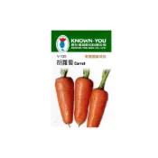 (店+)【天橙種子】胡蘿蔔種子 V-135 約20粒 紅蘿蔔 蔬果種子 根莖類 農友種苗 彩色原包裝