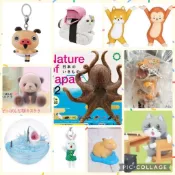可愛動物扭蛋轉蛋公仔📍水豚卡皮巴拉仕事貓小學野性之証老虎桃太郎狗猴子水族館海豚儒艮海牛海獅貓福珊迪鯊魚海洋生物盆場景海豹