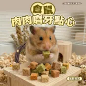 【現貨】倉鼠用肉肉磨牙點心 單個販售 雞肉 鮭魚 倉鼠零食 倉鼠磨牙 布丁鼠 倉鼠磨牙零食 倉鼠點心 寵物鼠 黃金鼠