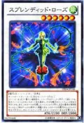 BK*  98.99分  遊戲王  DE04-JP146 華麗薔薇 普卡搜 TSHD-JP043