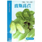 (店+)【天橙種子】波斯萵苣種子 蘿蔓直立萵苣 約3公克 葉菜類種子 美國進口 興農種苗 家庭園藝  彩色原包裝