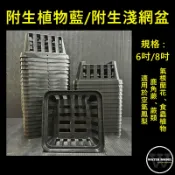 水模型園藝#6吋 8吋附生植物籃 蕨類盆 附生淺網盆 鹿角蕨盆 蘭花盆 附生植物盆 著生植物盆 鹿角蕨 空氣鳳梨