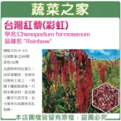 【蔬菜之家】H49.台灣紅藜(彩虹)種子2500顆(未脫殼)花卉 花類種子