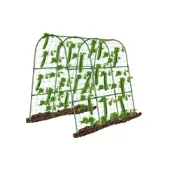 (店+)Bingo賓購 爬藤植物種植架 種菜瓜 種絲瓜 南瓜 百香果種植 蕃茄種植 豆類種植 快速組裝陽台農夫 庭院種菜