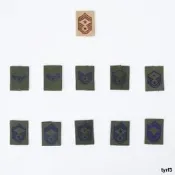 美軍公發軍版GTX風衣雨衣胸口軍銜套章