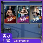 現貨 gzs健身房牆面裝飾掛畫健美美女貼畫馬甲線肌運動男女圖片海報