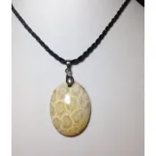 天然高檔精美《珊瑚玉化石項鍊》～億萬年吉祥富貴珊瑚菊花玉～～億萬年的等待只為與你相遇