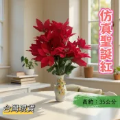 聖誕紅花束 乾燥花 人造花 假花 塑膠花束 假花束 配件 聖誕節 拍攝道具 擺飾花材 餐桌裝飾 婚禮派對 花藝佈置