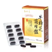 【松果購物】敦和堂 牛樟芝菌絲體膠囊 90粒｜固態培養牛樟芝精華．健康調節首選