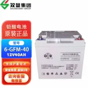 極樂藏寶閣 【12V免維護】鉛酸蓄電池 UPS電池 6-GFM-40 6-GFM-65 6-GFM-100AH 雙登電池 長效電力 穩定輸出 不斷電系統專用 機房備援 高品質