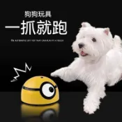 寵物用品🚀 小狗狗玩具 貓咪玩具 寵物耐咬自嗨電動解悶神器 仿真玩具 發聲玩具 暴走小小兵 暴走小萌 自動逗貓
