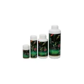 (店+)【ISTA 伊士達】優質強力除藻劑 120ml 240ml 500ml 1L 青苔 藻類 黑毛藻 刷狀藻