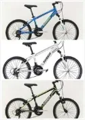 【可開發票】2020 HASA comp 2.0 20吋 童車 青少年 18速 自行車 登山車 前後輪 快拆 高雄 盛恩
