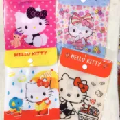 Hello Kitty凱蒂貓/大眼蛙/雙子星/ 美樂蒂/ B6P P附扣萬用收納袋/口罩收納袋
