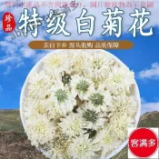 📢熱賣🚀客滿多🔥 白菊花茶 正宗黃山貢菊500g特級白菊花泡水正品散裝菊花茶黃菊