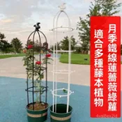 🌸臺灣優選🌸歐式庭院爬藤架陽臺綠植支架可拚接多層飄香藤薔薇花架子室內家用 ZOSU