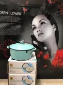 【元盟電器】大特價!!! [全新品] 鍋寶時尚20公分鑄鐵鍋