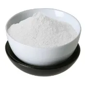 【順億化工】日本 專業超硬石膏粉 (自動消泡) 100g 擴香石 杯墊 香磚 石膏 石膏粉 硫酸鈣【SSS 02】