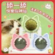 現貨旋轉貓薄荷球 貓玩具 貓薄荷 逗貓神器 薄荷球 貓草球 貓放鬆 貓磨牙 潔牙棒 貓薄荷 貓咪用品
